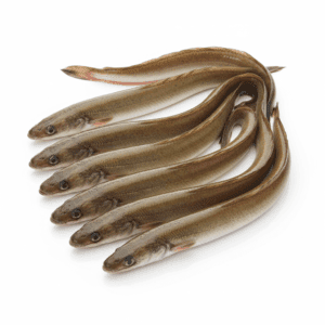 বাইন মাছ / Eel Fish (১ কেজি)