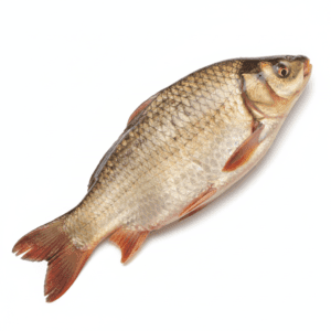 রুই বড় (১ কেজি)