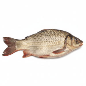 রুই মাঝারি (১ কেজি)
