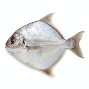রূপচাঁদা বড় (১ কেজি)